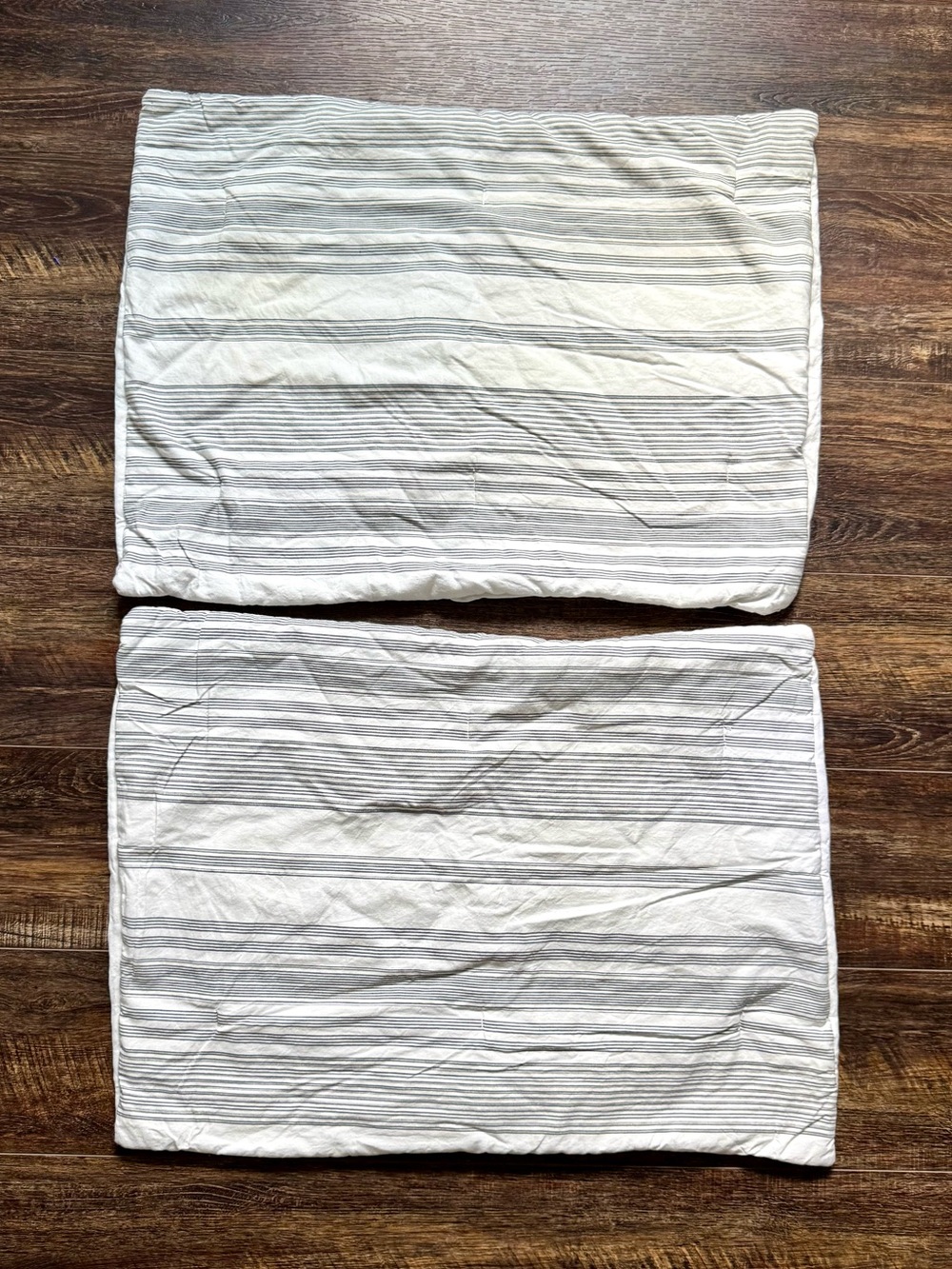 POTTERY BARN TEEN Steven Standard Pillow Shams Set of 2